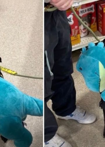 Video: Foster Dog Isn’t ‘Reactive’ if He Gets To Pick a Toy