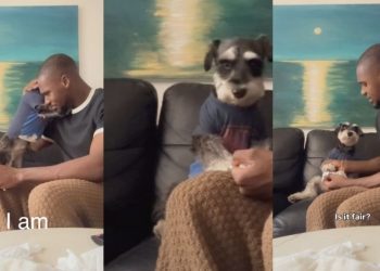 Dog Listens to ‘Dramatic Dad’ Intently in Funny Video