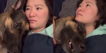  Video Confirms This Dog Is the Ultimate Whiner