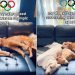 Video: Golden Retrievers’ Stretches Are Unbelievably Synchronized
