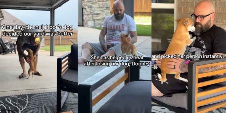 Video: Little Dog Finds Her Way Into a Neighbor’s Home & Their Hearts