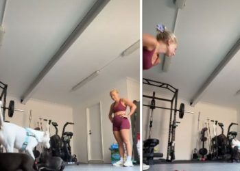 Video: Dog Bonds With Escaped Puppies Like They’ve Known Each Other Forever