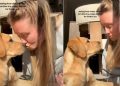 Video of Puppy Reacting to Being Kissed Repeatedly Melts Hearts