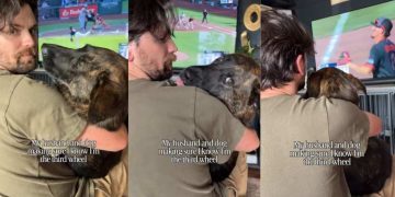 Dog Won’t Let Mom Forget She’s Third Wheel During Father-Daughter Time