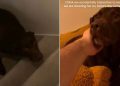 Video: Tripod Labrador Shows Dad She’s Good at Climbing Stairs