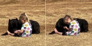 Cane Corso Meets His ‘Clingy Match’ & Result Is Hilarious