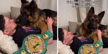 Dog Knows Dad’s in Pain After Winning Fight, Comforts Him With Cuddles