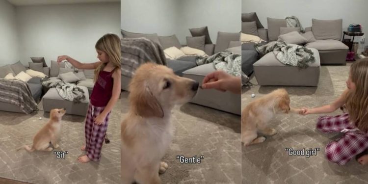 Little Girl Trains Golden Retriever Puppy Fun Tricks & How To Be Gentle
