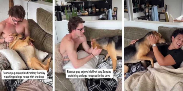 Rescue Pup Acts Like He’s Known Owner’s Friends Forever