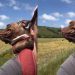 Shelter Dog Admires the World on a Piggyback Ride With Mom After Adoption