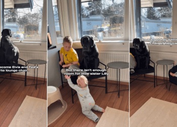 Dog’s Favorite Chair Has No Room for the Baby, So She Gets One of Her Own