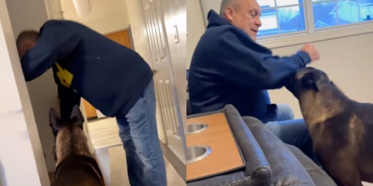 Big Dog Drops Hints That Grandpa Might Be His Favorite Person Like This