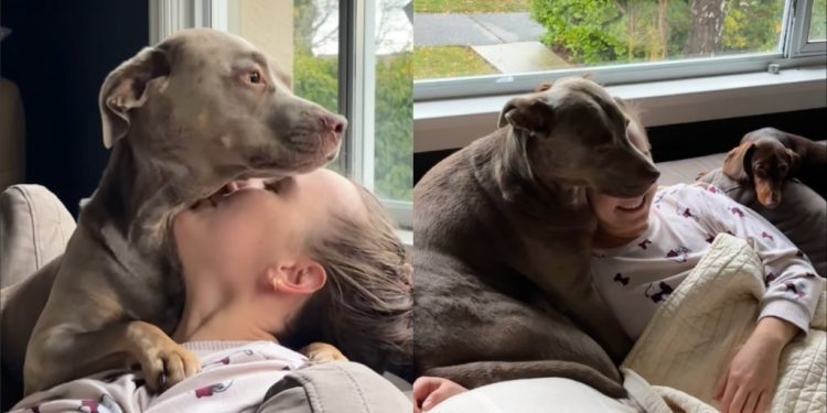 Dog Refuses To Leave Aunty’s Side & Showers Her With Love