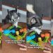 Youngest Dog in Pack Has Most Dramatic Reaction to Food Game
