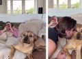 Rescue Dog Doesn’t Want Dad To Interrupt His Snuggle Time With Mom