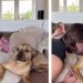 Rescue Dog Doesn’t Want Dad To Interrupt His Snuggle Time With Mom