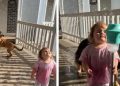Dogs Joining Little Girl To Play With Bubbles Is Where Fun Meets Chaos