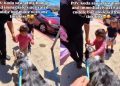 Dog Walks up to Little Girl Who Was Nervous at First & Wins Her Over With a Kiss