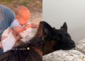 Dog & Little Boy Become Inseparable as They Grow up Together