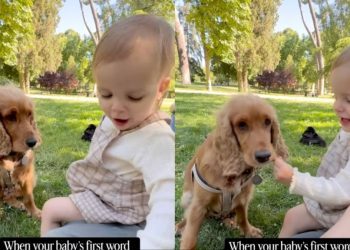 Owner Reveals Baby’s First Words To Be Dog’s Name