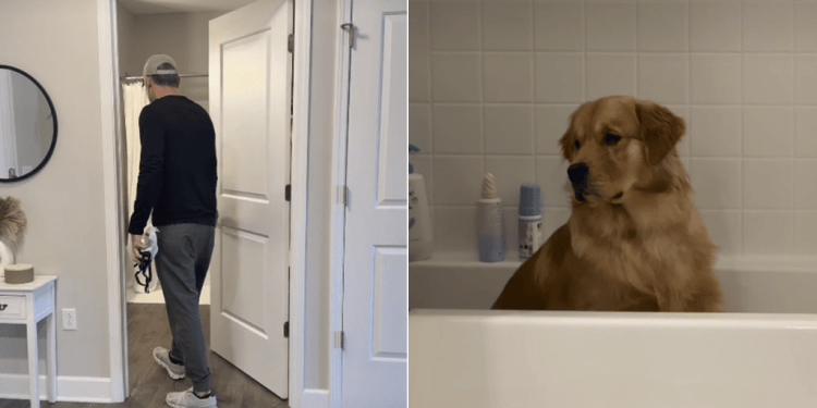 Golden Retriever Loves Sitting in Bathtub Just To Reflect