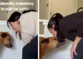 Dog Has Food Right in Front of Him, but Still Looks to Mom for a Kiss