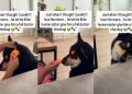 Dog Lets Little Girl Play Doctor & Give Him Full Checkup