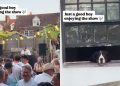 Dog Sits by the Window Like an Honored Guest at the Party