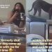 Formerly Shut Down Foster Dog Hits Major Milestone for First Time