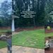 Dog Has Found True Friend in a Deer & They Have Their Own Special Game