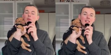 Rescue Dog Has a Message for Human Who Abandoned Him