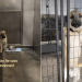 ‘Abandoned’ Rescue Dog Changes Demeanor Once He Realizes He’s Safe