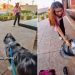 Dog Makes a ‘Peace Offering’ to a Girl Scared of Petting Him