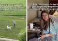 Dog Cheers on Mom Before She Gives Birth With a Little Help