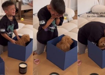 Tiny Puppy Becomes a Surprise Little Boy Waited All His Life for & It Doesn’t Get Better