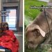 ‘Terrified’ Shelter Dog Who Trembles in Kennel Needs a Loving Home