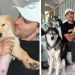Owner Foster Fails & Adopts Puppy Into a Home Filled With Dogs
