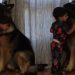 Toddler Wraps His Arms Around Big Dog To Greet Him With the Sweetest Morning Hugs