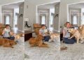 Mom Includes Three Curious Golden Retrievers in Baby’s Fun Activity