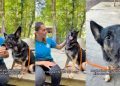 Senior Shelter Dog Goes From Living in a Loving Home to Being Completely Forgotten