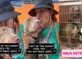 Shelter Dog’s Happiness Is Momentary as Her Reality Is Truly Heartbreaking