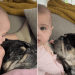 Baby Uses Dog’s Floppy Ears as ‘Sensory Toy’ & He Happily Obliges
