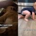 Golden Retriever & Toddler Are Inseparable Now but They Were Once Babies Growing up Together