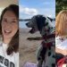 Stray Dog Nobody Came for Gets Rescued by a Human, Unaware He’s Found His Forever Mom