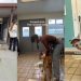 Shelter Dog Who Is Just ‘Skin & Bones’ Got His Happy Ending, but Not for Long