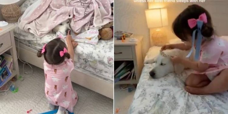 Toddler Refuses To Go To Sleep Without Golden Retriever Like That’s All She Needs